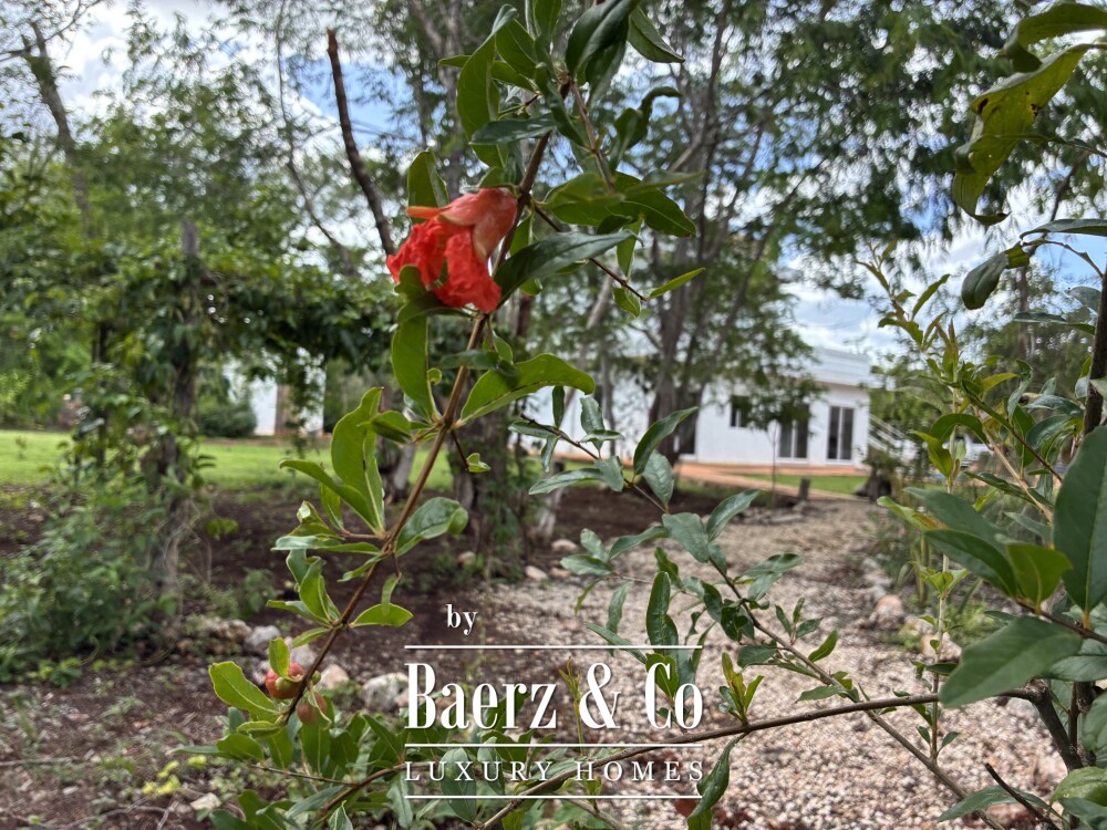 Foto 11 1000w