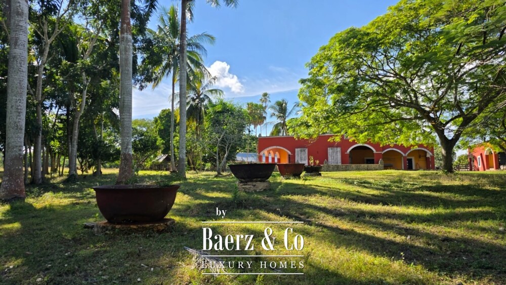 Foto 9 1000w